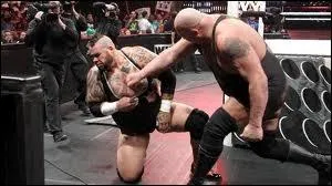 Quel est ce finisher ?