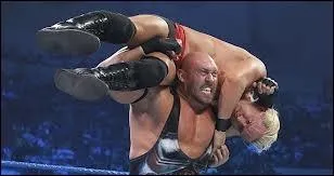 Quel est ce finisher ?