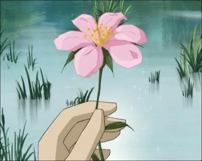 Episode 76,  Le Lac  : Quel est le nom de cette plante ?