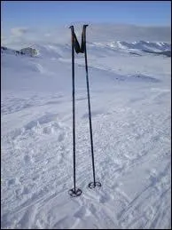 Quel sport qui se joue dans la neige utilise parfois des btons ?