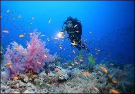 En plonge sous-marine, avec ses palmes, sa combinaison et son masque, mieux vaut ne pas oublier...