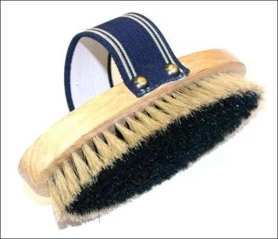 Quelle est cette brosse ?