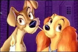 Que est le titre de ce dessin anim ?