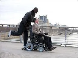 Mon tout est une comdie dramatique franaise autour du handicap et de l'amiti.