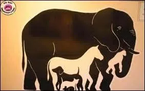 Combien d'animaux y a-t-il sur cette photo ?