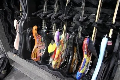  quel bassiste appartiennent ces basses ?