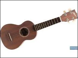 Comment s'appelle cet instrument ?