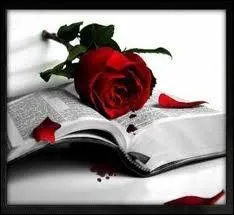 Qui chante  Si tu n'tais plus l  ? : (