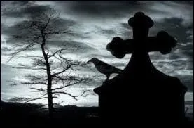 Qui chante  Without Me  ?