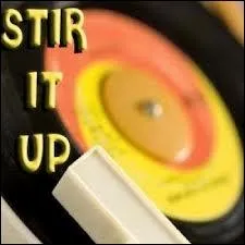 Qui chante  Stir It Up  ?