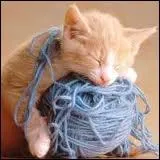 Que prlve-t-on sur le mouton pour en faire des pelotes ?