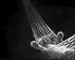 Morceau de toile ou filet tendu entre deux points pour se prlasser ...