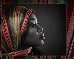 De qui est cette chanson :  Femme de couleur  ?