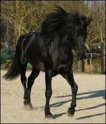 Comment appelle-t-on une jument rserve  la reproduction ?