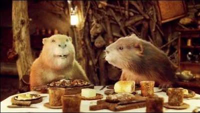 Qui sont ces animaux ?