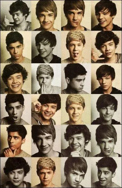 Ont-ils gagn dans l'mission ? Si non, combien sont-ils arrivs ?