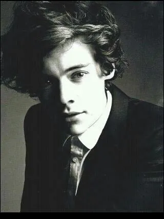 Quel ge a Harry Styles (fin 2012), quel est son style vestimentaire, quelle chanson a-t-il chante lors des auditions en solo de X Factor ?