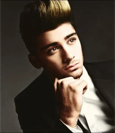 Quel ge a Zayn Malik (fin 2012), quel est son style vestimentaire, quelle chanson a-t-il chante lors des auditions en solo de X Factor ?