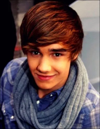 Quel ge a Liam Payne (fin 2012), quel est son style vestimentaire, quelle chanson a-t-il chante lors des auditions en solo de X Factor ?