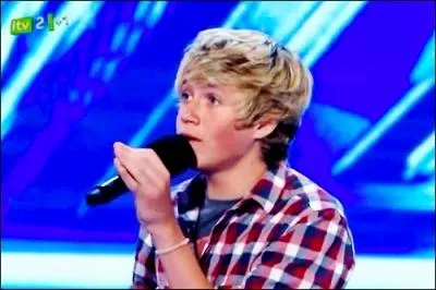Quelle chanson, Niall a-t-il chant pour son audition au X-Factor ?