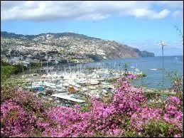 L'escale nous pose  Funchal dans l'le aux fleurs. De quel pays dpend cette ville ?