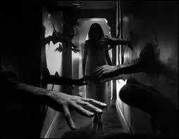 Qui sombre dans la psychose dans le film  Rpulsion  de Roman Polanski ?