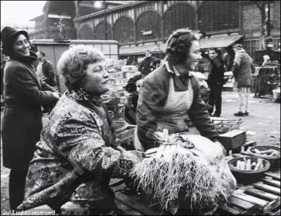 Pourquoi le chandail provient-il des Halles ?