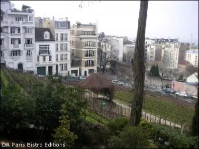Comment tait appel un vin autrefois dans les Buttes de Montmartre ?