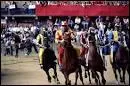 O la course du Palio a-t-elle lieu chaque anne ?
