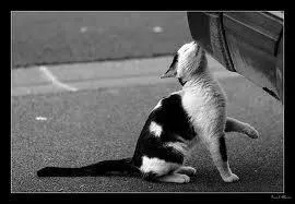 De quelle humeur est-il ?