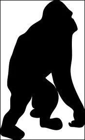  quel animal appartient cette silhouette ?