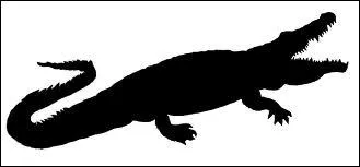  quel animal appartient cette silhouette ?