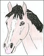 Il vient de voir un animal qu'il n'a jamais vu :