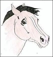 Un cavalier tombe derrire lui :