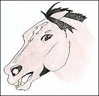 Il voit son ennemi :