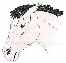 Il voit de la nourriture qui sent mauvais.