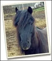 Il voit son amoureuse, il est :