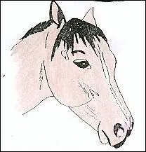 De quelle humeur suis-je ?