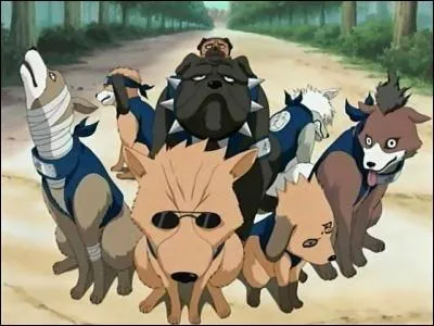 Que donne son invocation ?