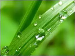 Comment traduit-on  vert  en espagnol ?