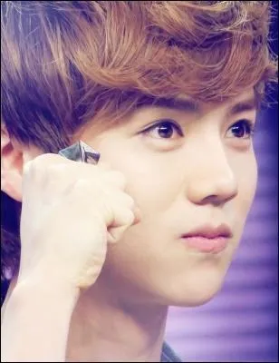 De quel autre groupe fait-il partie ?