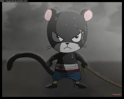 Quel est le nom du exceed (chat volant) qui suit ce Dragon Slayer ?