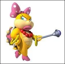 Comment se nomme la seule fille de Bowser ?