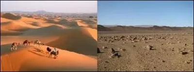 Qu'est-ce qu'un erg et qu'est-ce qu'un reg ?