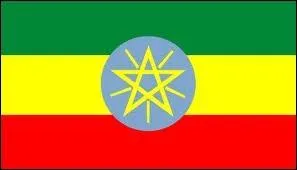 Le pays rattach  ce drapeau est situ en Afrique : quel nom porte sa capitale ?