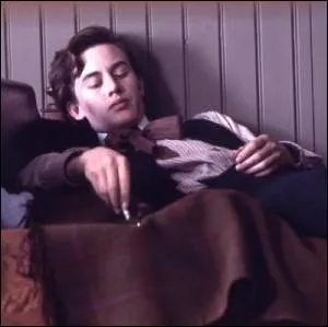 Le film  La Danse de la Vie , du ralisateur Peter Watkins, retrace les dbuts de la carrire artistique du peintre expressionniste norvgien ... .