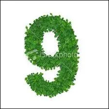 Combien de 9 trouve-t-on dans une srie de chiffres entiers de 1  100 ?