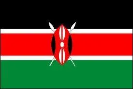 Cet tendard appartient  un pays d'Afrique. Quel nom porte sa capitale ?