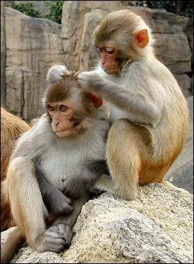 Grce  ce mot, vous vous sentirez mieux !