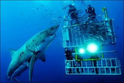 Ce mot vous prouvera que l'on peut transpirer, mme sous l'eau !